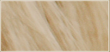 Blond Blond