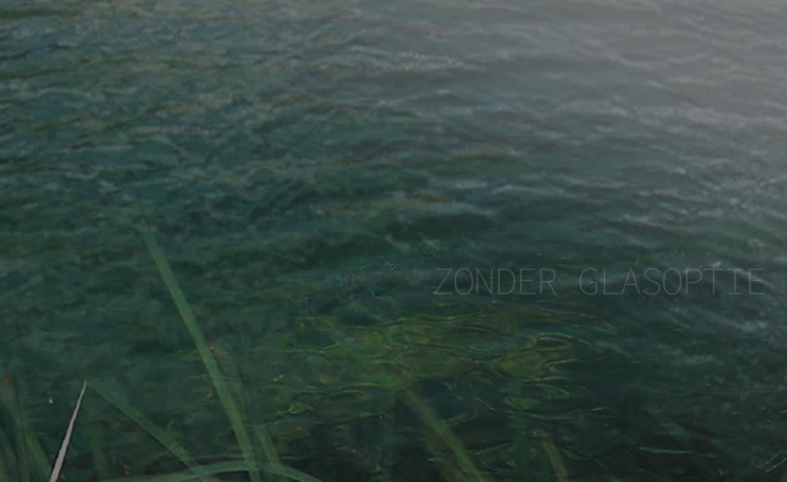 Zonder glasoptie
